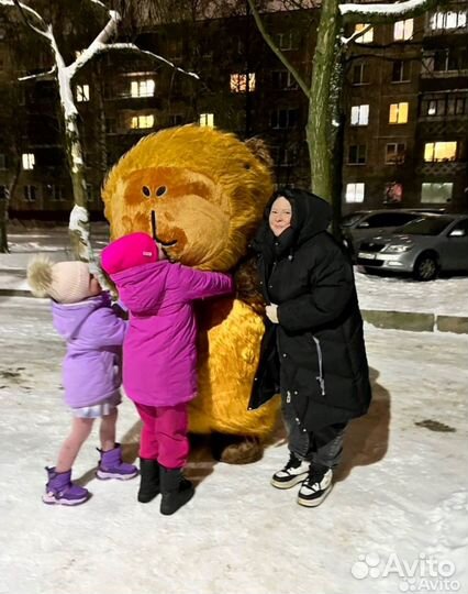 Аниматор капибара, день рождение