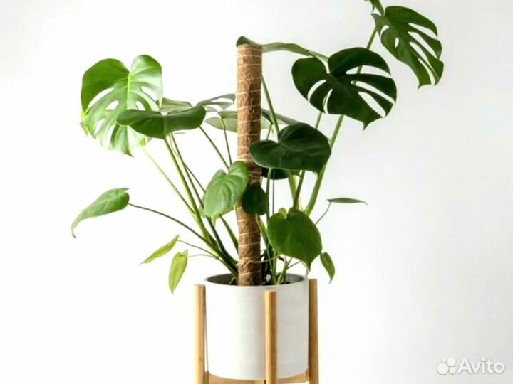 Опора для растений