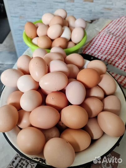 Домашние куриные яйца