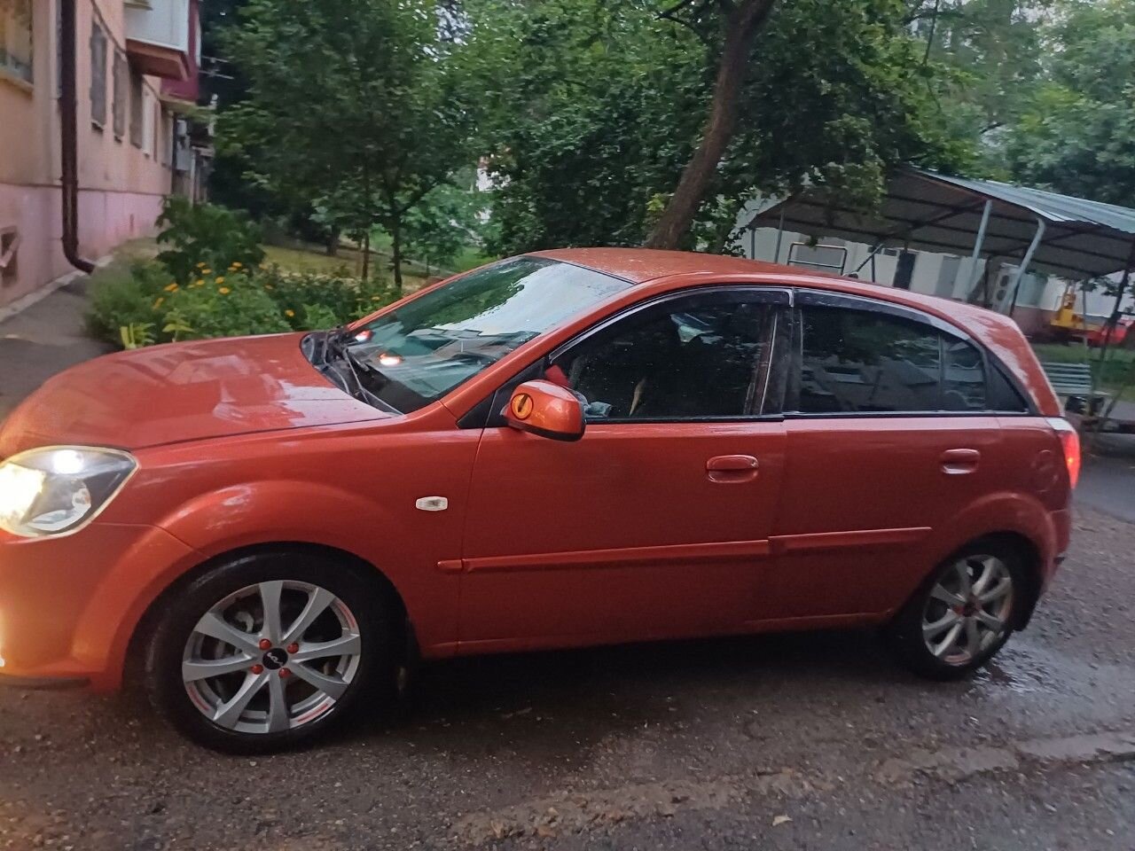 Kia Rio: фото из отзыва