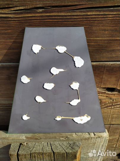 Зеркала для дизайна