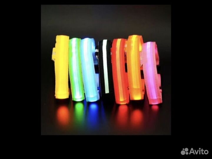 Светящийся ошейники и одежда для собак