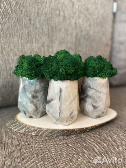 Кашпо с мхом (стабилизированный мох)