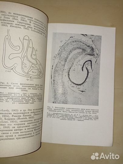 Лимбика. Айрапетьянц. 1967