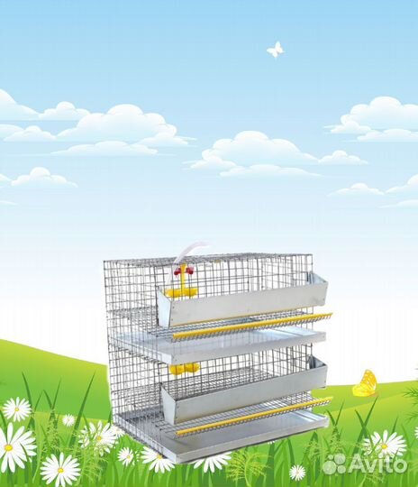 Клетка для перепелов на 30 голов