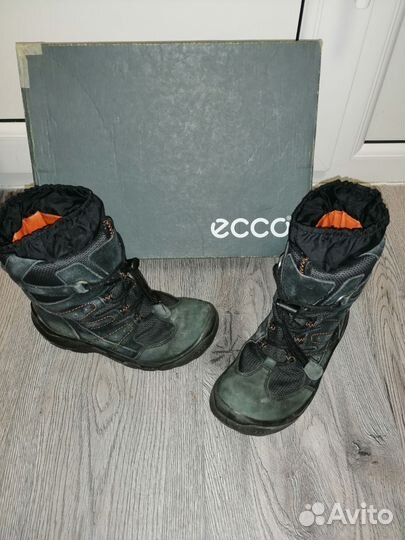 Ессо. 30 Lessi 30