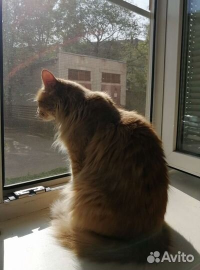 Москитные сетки на заказ