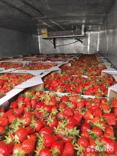 Грузоперевозки рефрежиратор газель перевозки реф