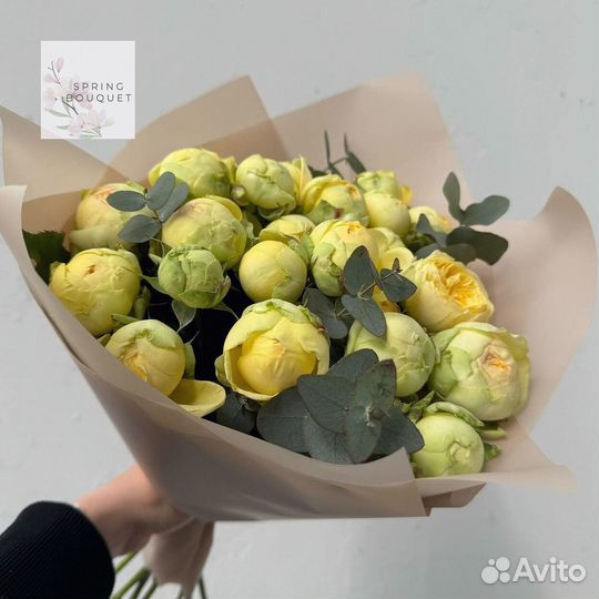 Розы Эквадор кустовые эвкалипт