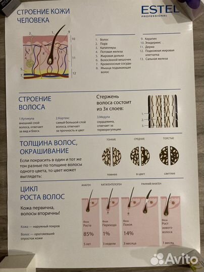 Дизайн плакаты в салон красоты Estel