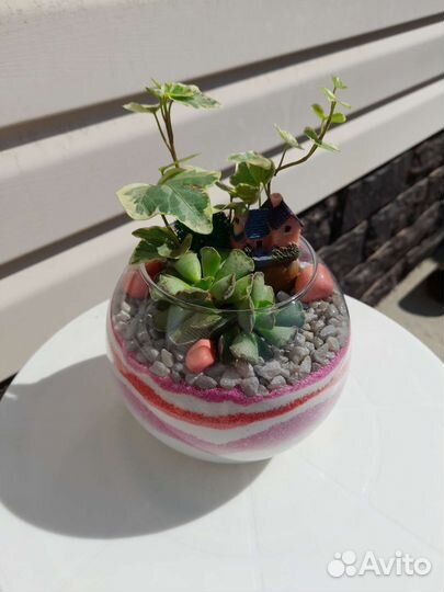 Подарок Флорариум в стекле