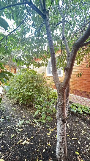 Дом 100 м² на участке 5,5 сот.