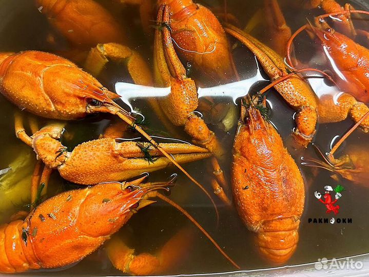 Раки живые и вареные дикие