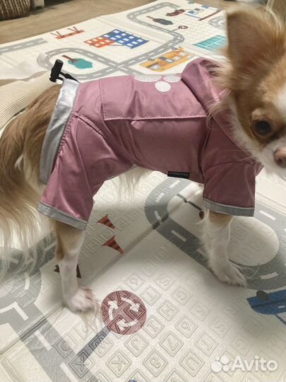 Дождевик куртка для мелких пород собак и щенков