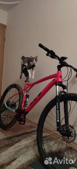 Gt avalanche comp 2020