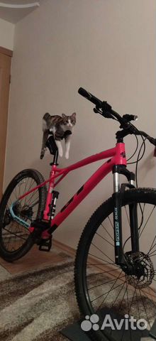 Gt avalanche comp 2020