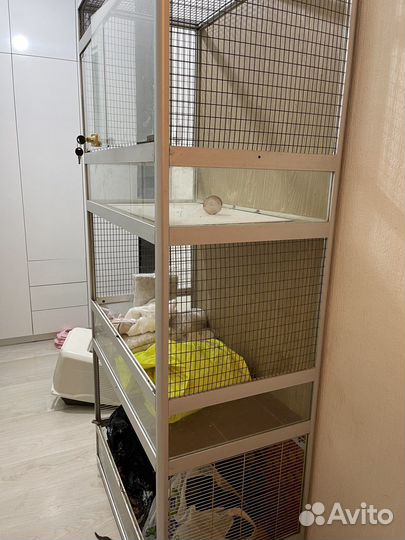 Стелаж. Вольер для попугаев