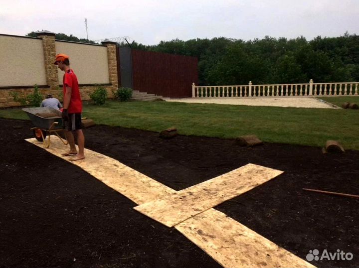 Рулонный газон с укладкой