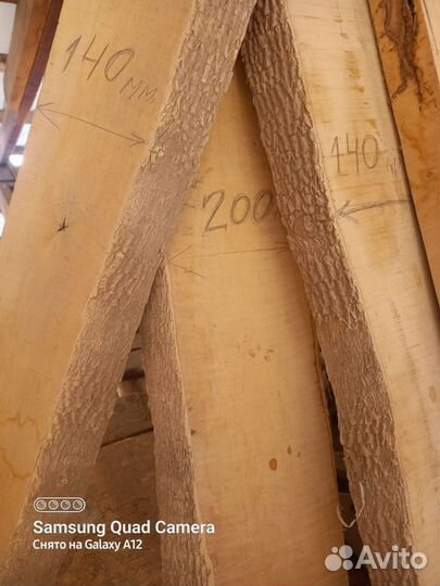 Для творчества самшит