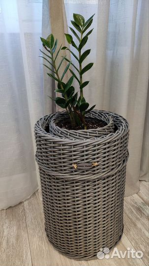 Кашпо напольное для цветов