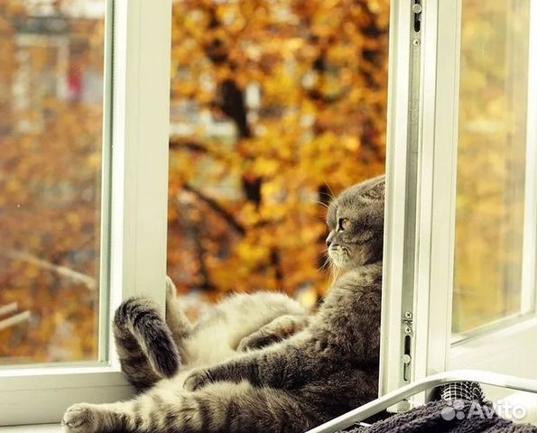 Пластиковые окна, на любой бюджет