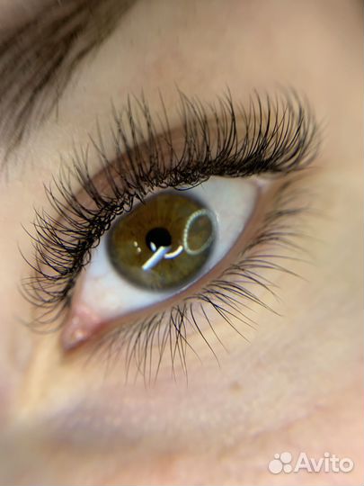 Наращивание ресниц модель