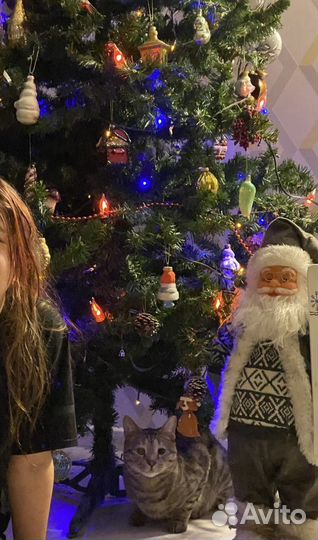 Ель искуственная 210 бу