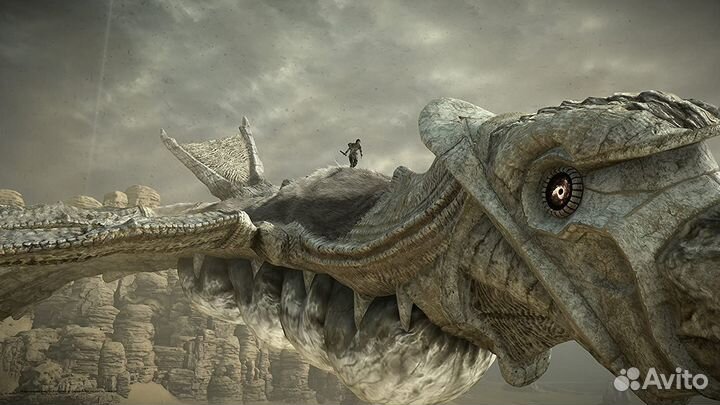 Игра Shadow of the Colossus. В тени колосса (PS4