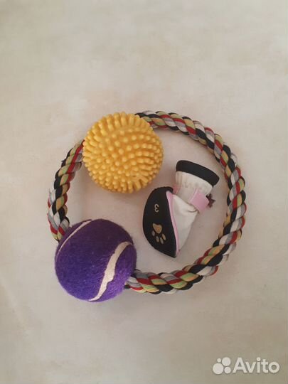 Ботинки и игровые мячи для собак