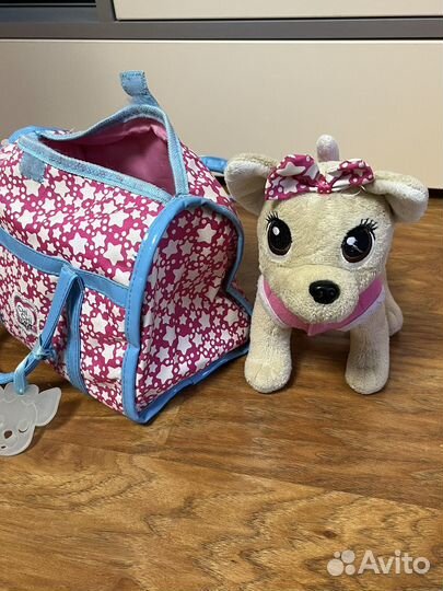 Собака чичилав в сумочке