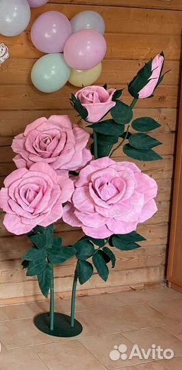Розы ростовые цветы