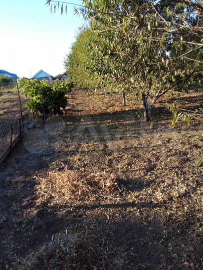 Участок 13,8 га (ИЖС)