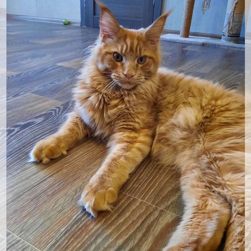 https://blog.monde-animal.com/