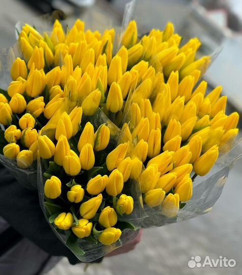Тюльпаны цветы букеты Краснодар доставка 8 марта