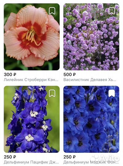 Многолетники садовые