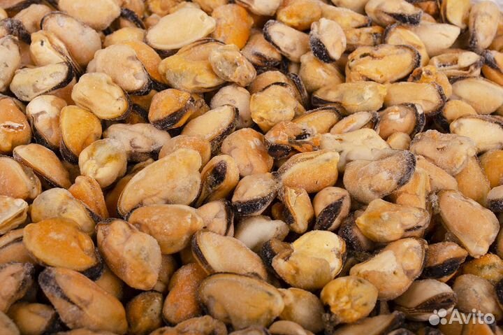 Мясо мидий самый крупный размер