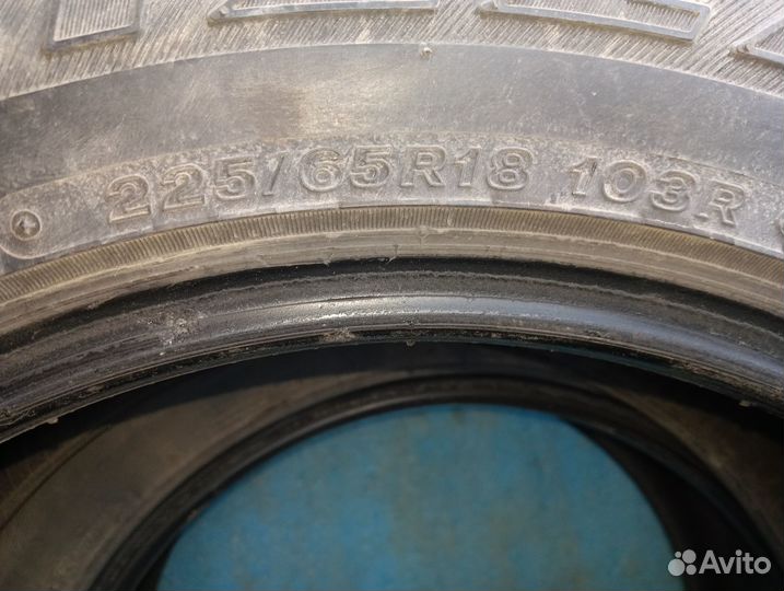 Bridgestone Blizzak DM-V1 225/65 R18