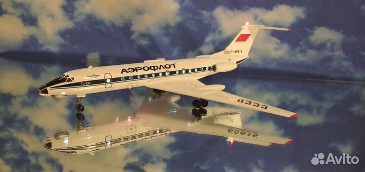 Модель самолета Ту-134.1/100