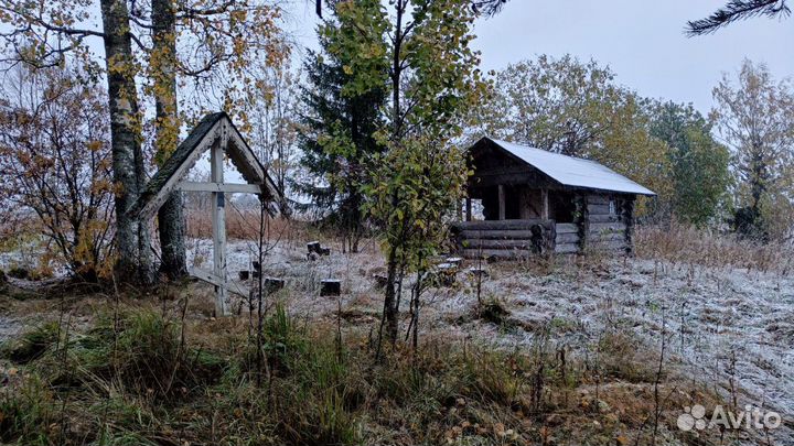 Ольховая глушь