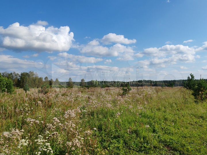 Участок 9 га (СНТ, ДНП)