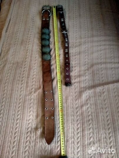 Ошейник для собак