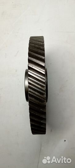 Шестерня газораспределения промежуточная Д-245