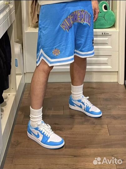 Nike Air Jordan 1 Low SB UNC