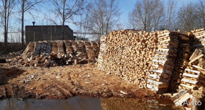Дрова березовые