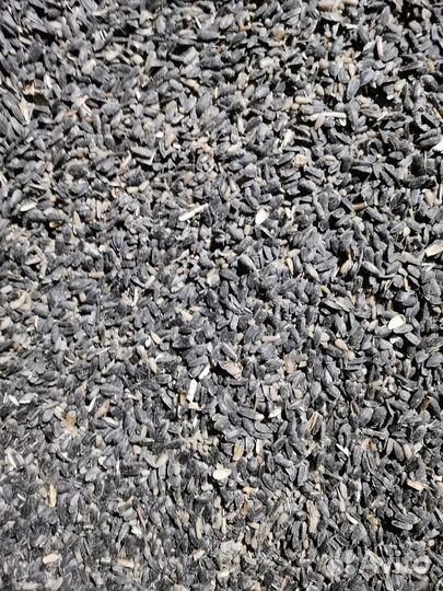 Подсолнечник