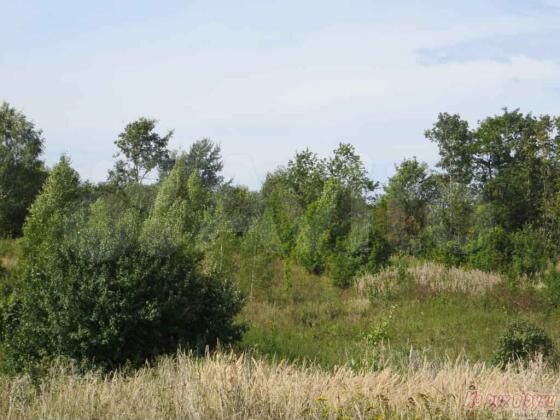 Участок 29 сот. (ИЖС)