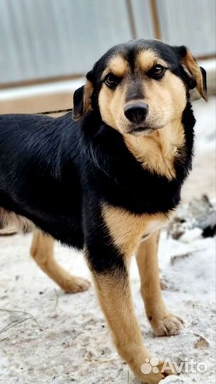 Ной молодой парнишка ищет дом