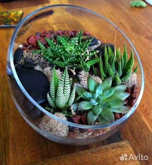 Ваза полукруглая для флорариума