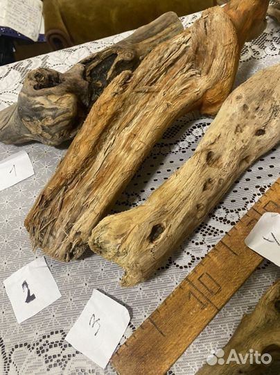 Дрифтвуд морские коряги