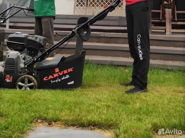 Натуральный рулонный газон 100% мятлик